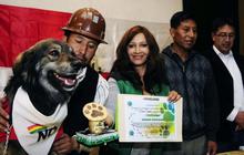 Anjing ini jadi simbol penolakan rakyat Bolivia atas Evo Morales