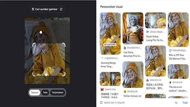Gambar Tangkapan Layar Penelusuran Foto Menggunakan Google Images.