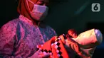 Dokter hewan membawa seekor bayi Primata Owa Jawa (Hylobates moloch) untuk diberikan asupan susu di Pusat Rehabilitasi Owa Jawa Taman Nasional Gunung Gede Pangrango, Bodogol,Sukabumi, Jawa Barat, Rabu (10/2/2021). Bayi Owa Jawa ini lahir pada tanggal 3 Februari. (merdeka.com/Imam Buhori)