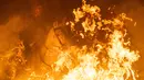 Seorang  penunggang kuda melompati api unggun selama festival Luminarias di San Bartolome de Pinares, Spanyol, Rabu (16/1). Inti dari ritual ini adalah bahwa asap menyucikan binatang ketika kuda melompati api unggun. (GABRIEL BOUYS / AFP)