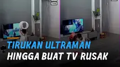 Akibat tonton ultraman melawan monster di tv. Balita ini akhirnya membuat tv rusak.
