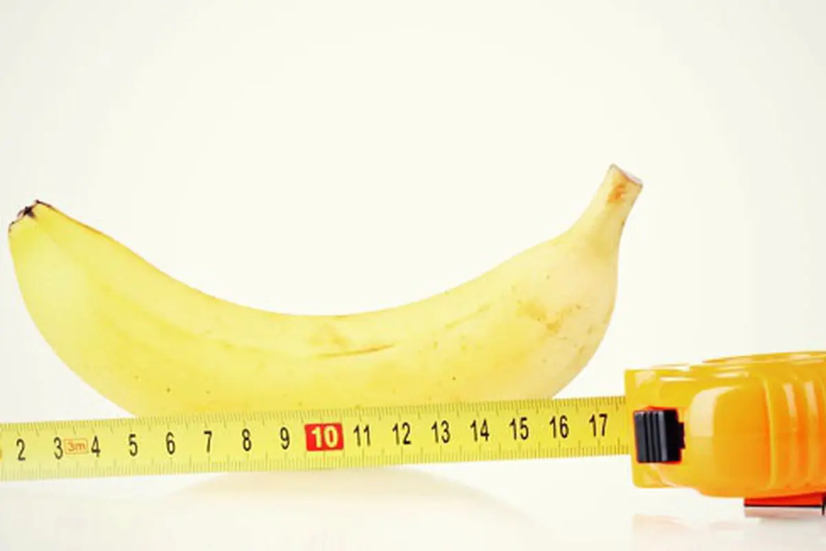 Foto: copyright thinkstockphotos.com