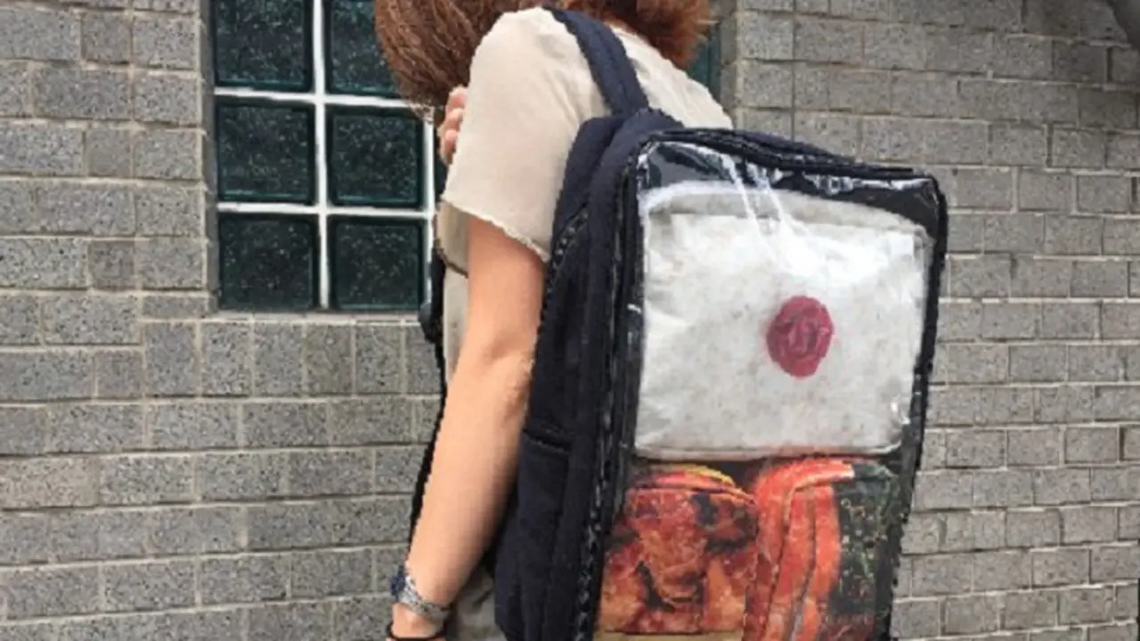 Tas kotak bento