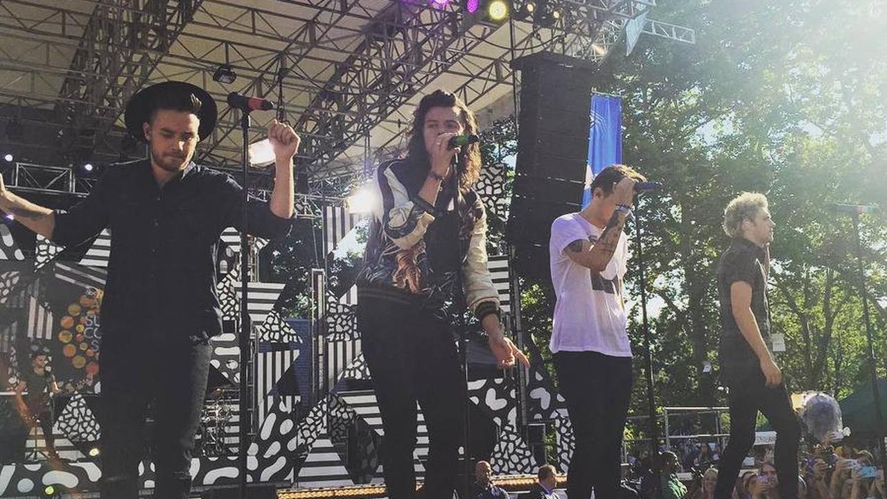 Nostalgia Bersama One Direction: Deretan Potret Momen Tak Terlupakan di Hati Para Fans