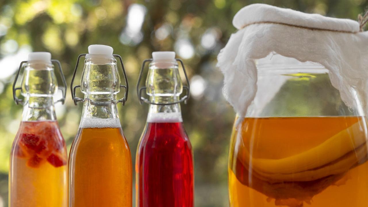 Kombucha