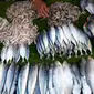 Direktur Jenderal Perikanan Tangkap (DJPT) Kementerian Kelautan dan Perikanan (KKP) terus mendorong nelayan di Indonesia menggunakan e-log book penangkapan ikan secara regular. (Dok FAO Indonesia)