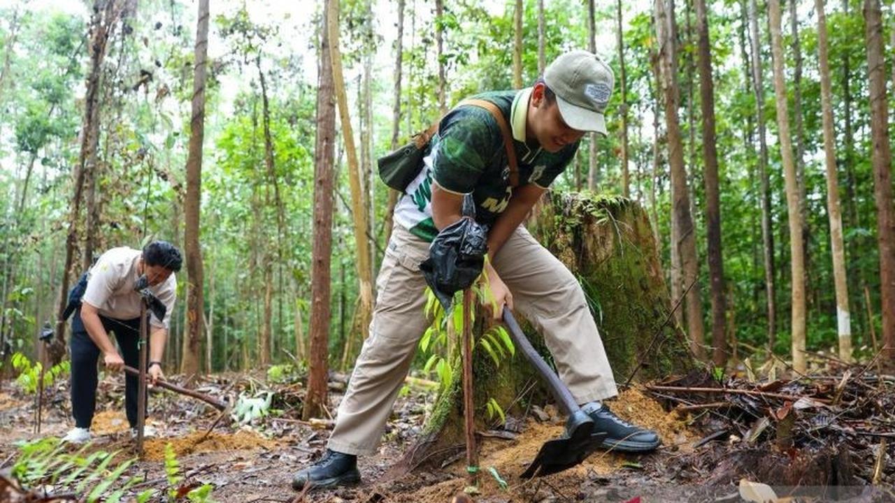 Otorita IKN Ajak Pengunjung Tinggalkan Jejak Hijau Lewat Penanaman 150 Tanaman Endemik