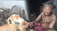 Seorang Nenek yang Tinggal Sebatang Kara Menampung Banyak Kucing di Rumahnya (Sumber Gambar: facebook.com/danang.priambodo.37)
