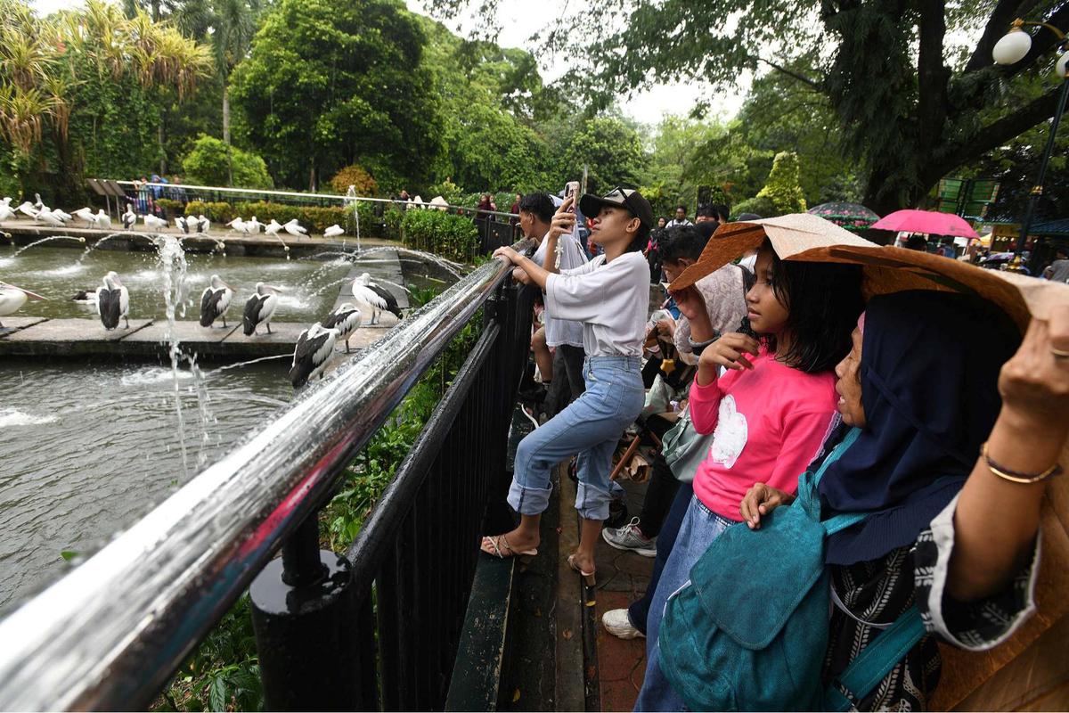 Ragunan Dibanjiri Puluhan Ribu Pengunjung di Hari Kedua Lebaran