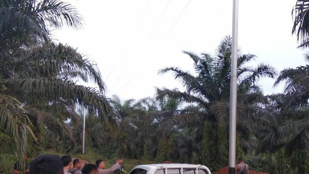 Dipicu Penerbangan Drone, Begini Detik-Detik Belasan WNA China Serang Prajurit TNI Pakai Airsoft Gun hingga Alat Kejut Listrik