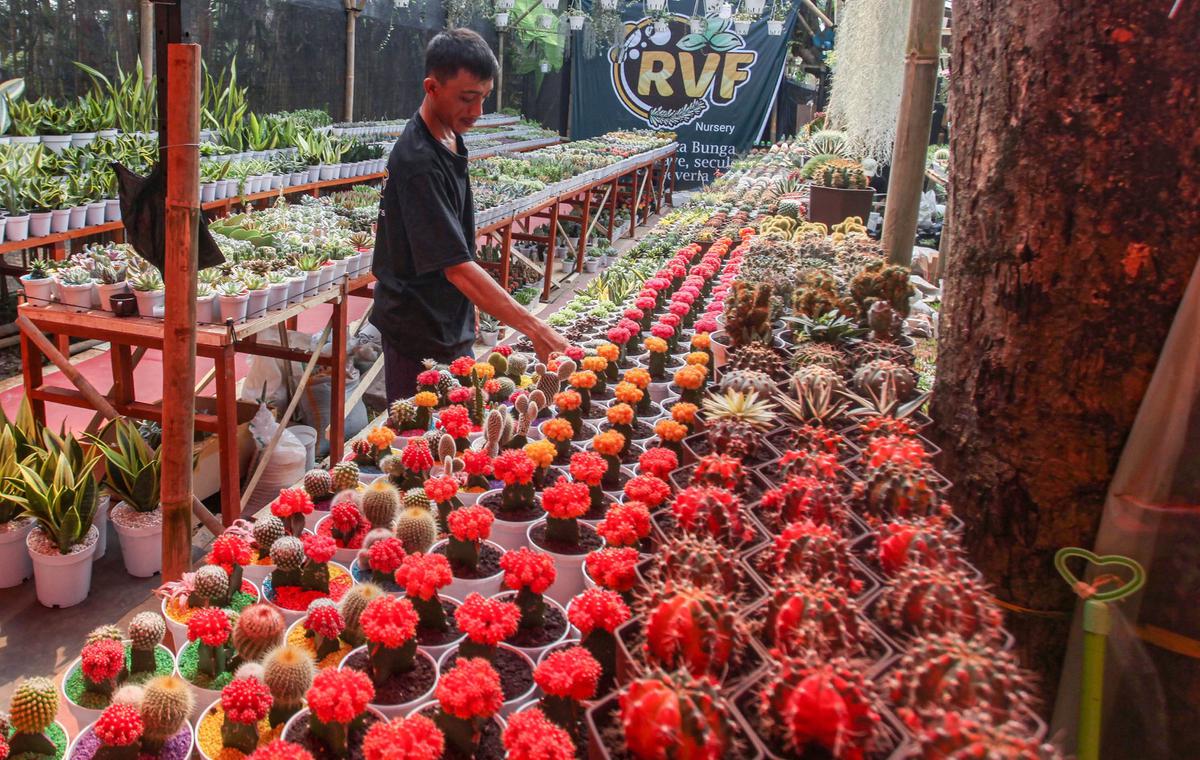 FOTO: Warna-Warni Flona 2025 di Lapangan Banteng Jakarta