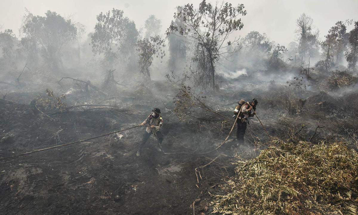 Sejumlah Daerah Dilanda Kebakaran Lahan Gambut