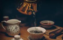 5 Jenis Teh yang Menyehatkan Tubuh, Termasuk Teh Oolong yang Kaya Manfaat
