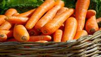 4 Trik Ampuh Supaya Wortel Keriput Jadi Segar Lagi, Dijamin Renyah