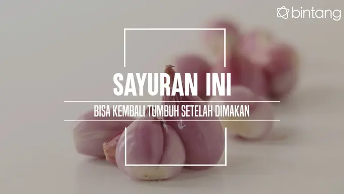 Sayur ini bisa kamu tanam dengan mudah. (Foto: Daniel Kampua, Digital Imaging: M. Iqbal Nurfajri/Bintang.com)