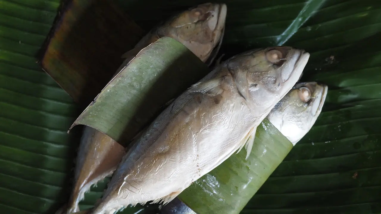 Ikan