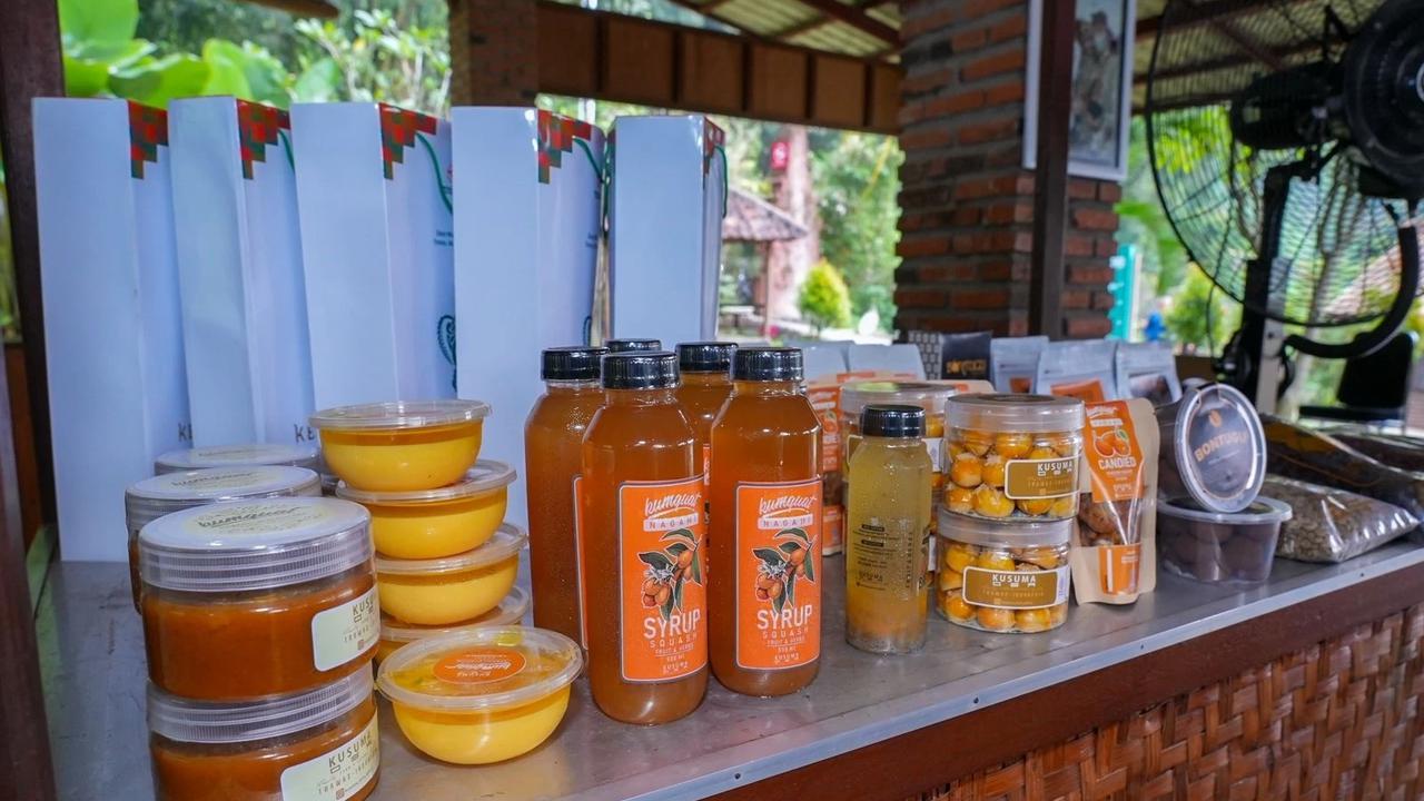 Desa BRILiaN Ketapanrame, Bukti Pemberdayaan Berbasis Potensi Lokal Mampu Ciptakan Ekonomi Desa yang Maju