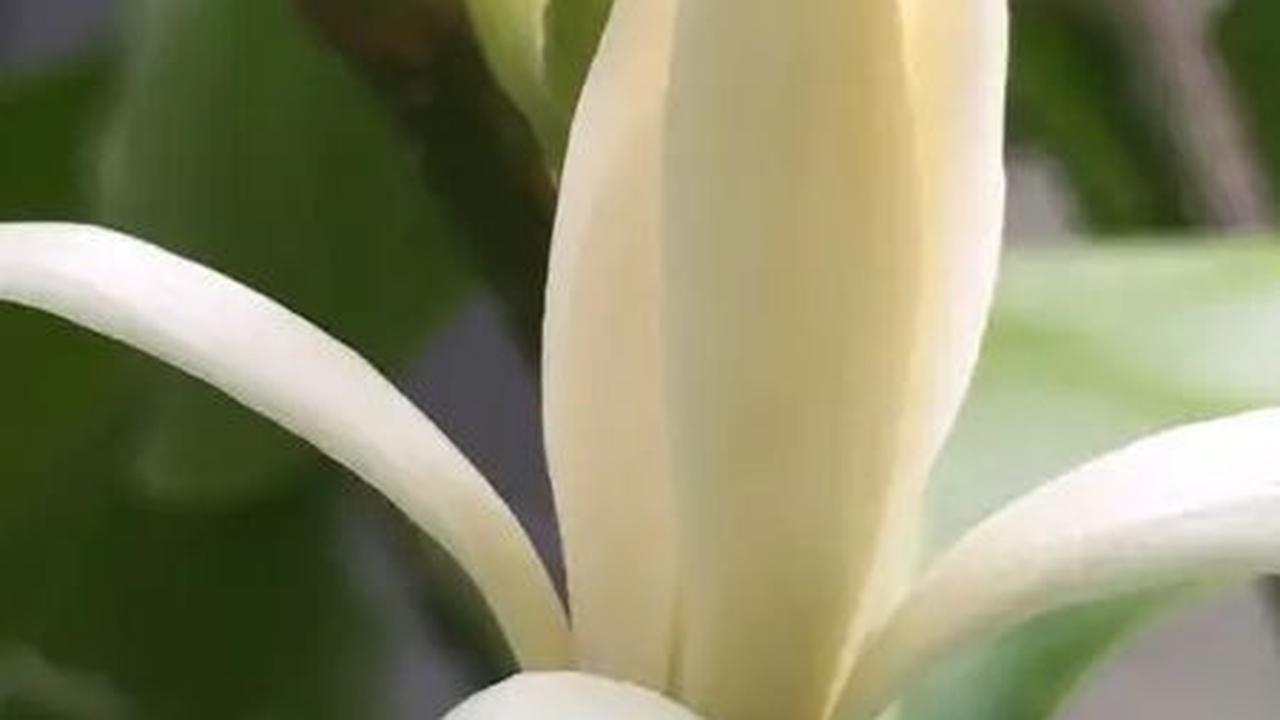 <a class="editorlink " href="https://www.merdeka.com/sumut/7-peninggalan-kerajaan-tarumanegara-lengkap-beserta-lokasi-dan-gambarnya-kln.html" rel="follow" target="_self">Kerajaan Tarumanegara</a> adalah kerajaan yang berdiri pada 450 Masehi terletak di se