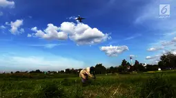 Pesawat melintas saat Suwandi (80) mencari rumput di perkebunan Kalimalang, Jakarta, Jumat (4/1). Suwandi mencari rumput untuk makan ternak sapi dengan upah Rp 5000 per ikat. (Merdeka.com/Imam Buhori)