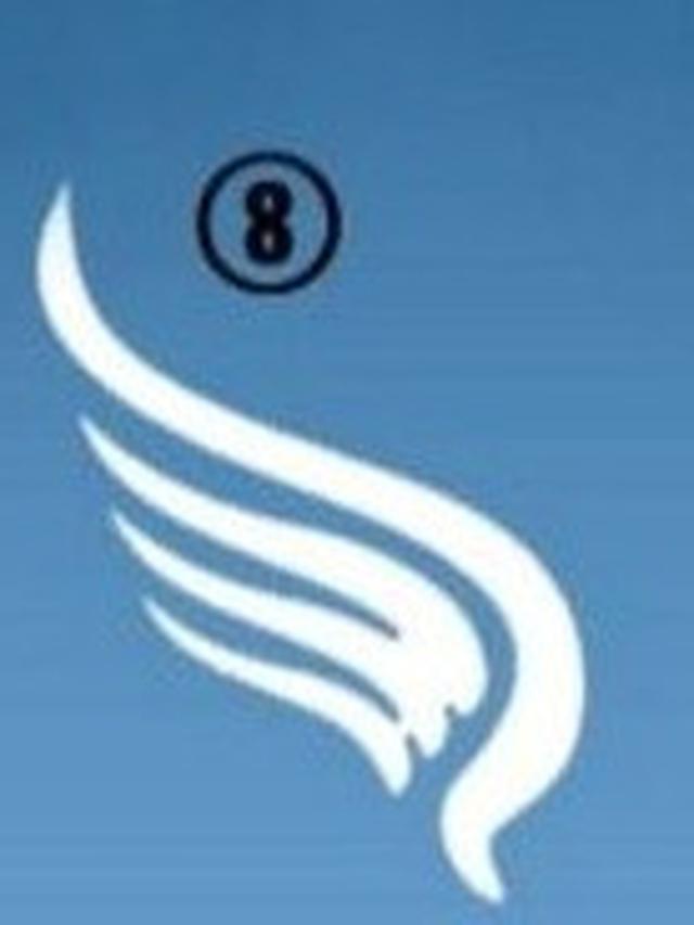 Tes Kepribadian, Pilih Satu Gambar Sayap Ini Dapat Ungkap Jati Diri