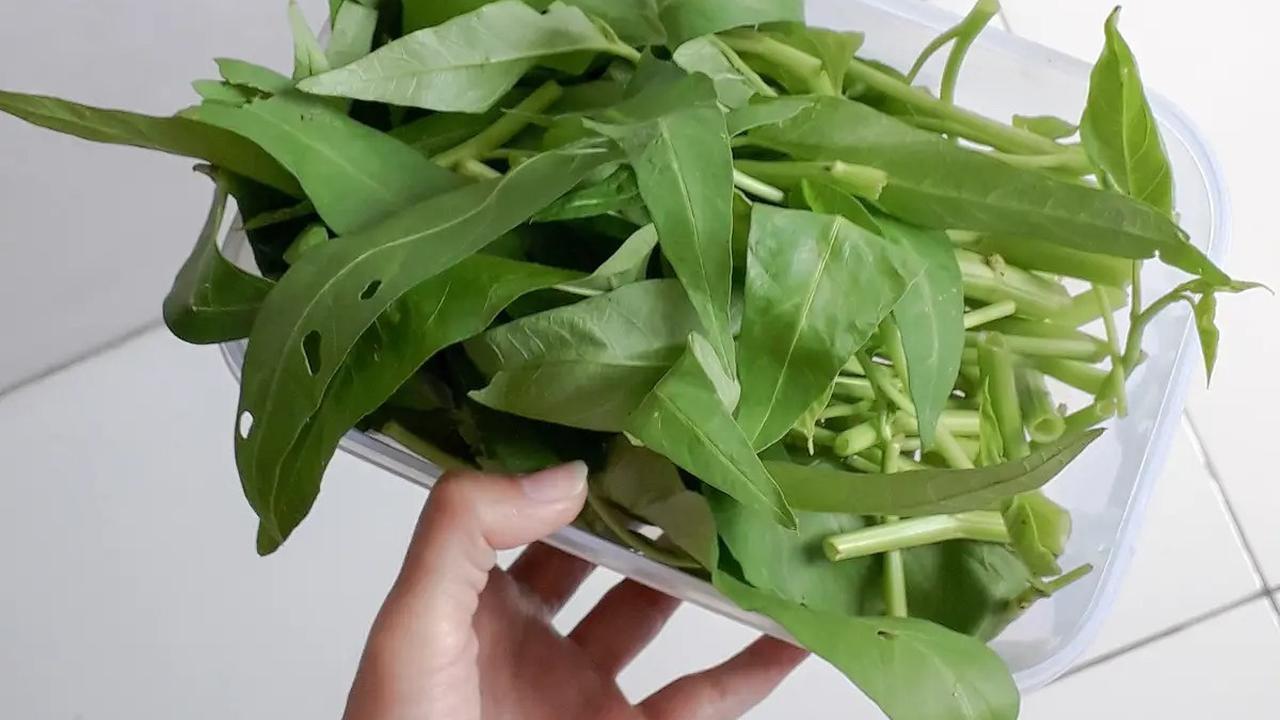 Cara Memasak Kangkung supaya Tidak Hitam