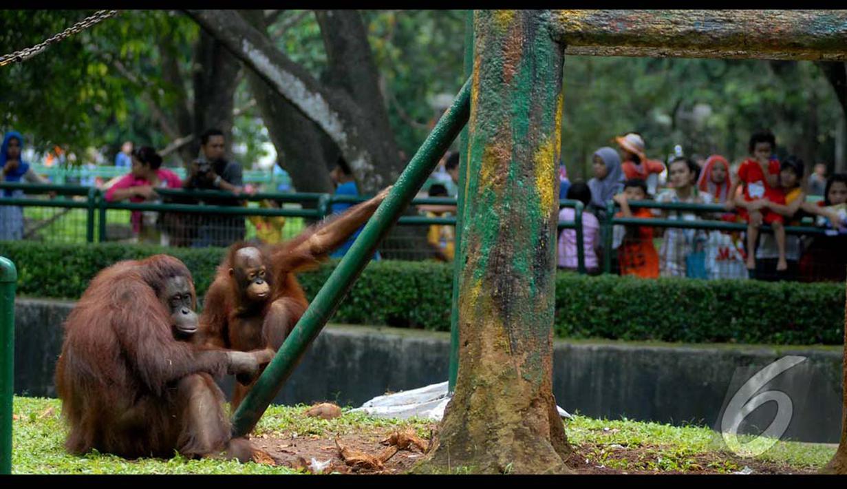  Taman Margasatwa Ragunan, Jakarta Selatan, menjadi salah satu tujuan rekreasi saat libur Lebaran (Liputan6.com/Miftahul Hayat)