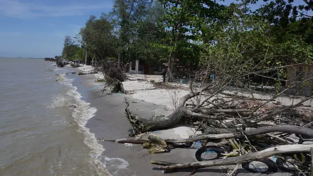 Abrasi di Pantai Labu