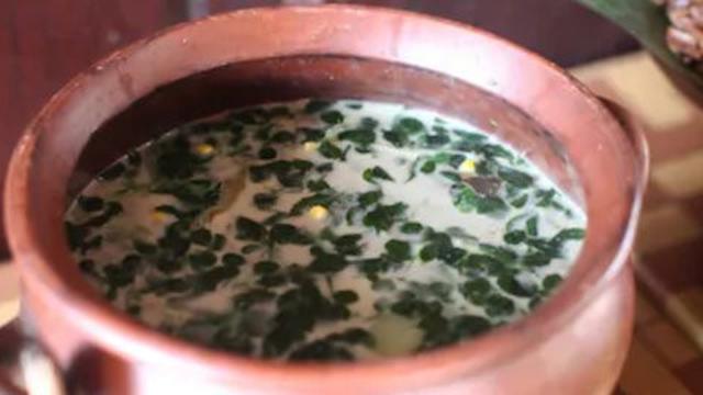 ilustrasi sayur bobor daun kelor