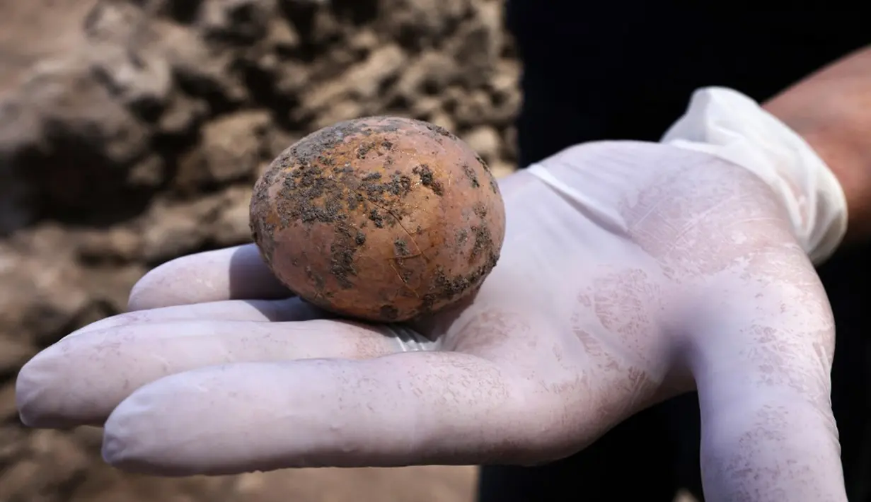 Arkeolog menunjukkan telur ayam berusia 1.000 tahun yang ditemukan selama penggalian di Kota Yavne, Israel, Rabu (9/6/2021). Menurut Otoritas Barang Antik Israel, peternakan unggas dimulai sekitar 2.300 tahun yang lalu di Israel. (Emmanuel DUNAND/AFP)
