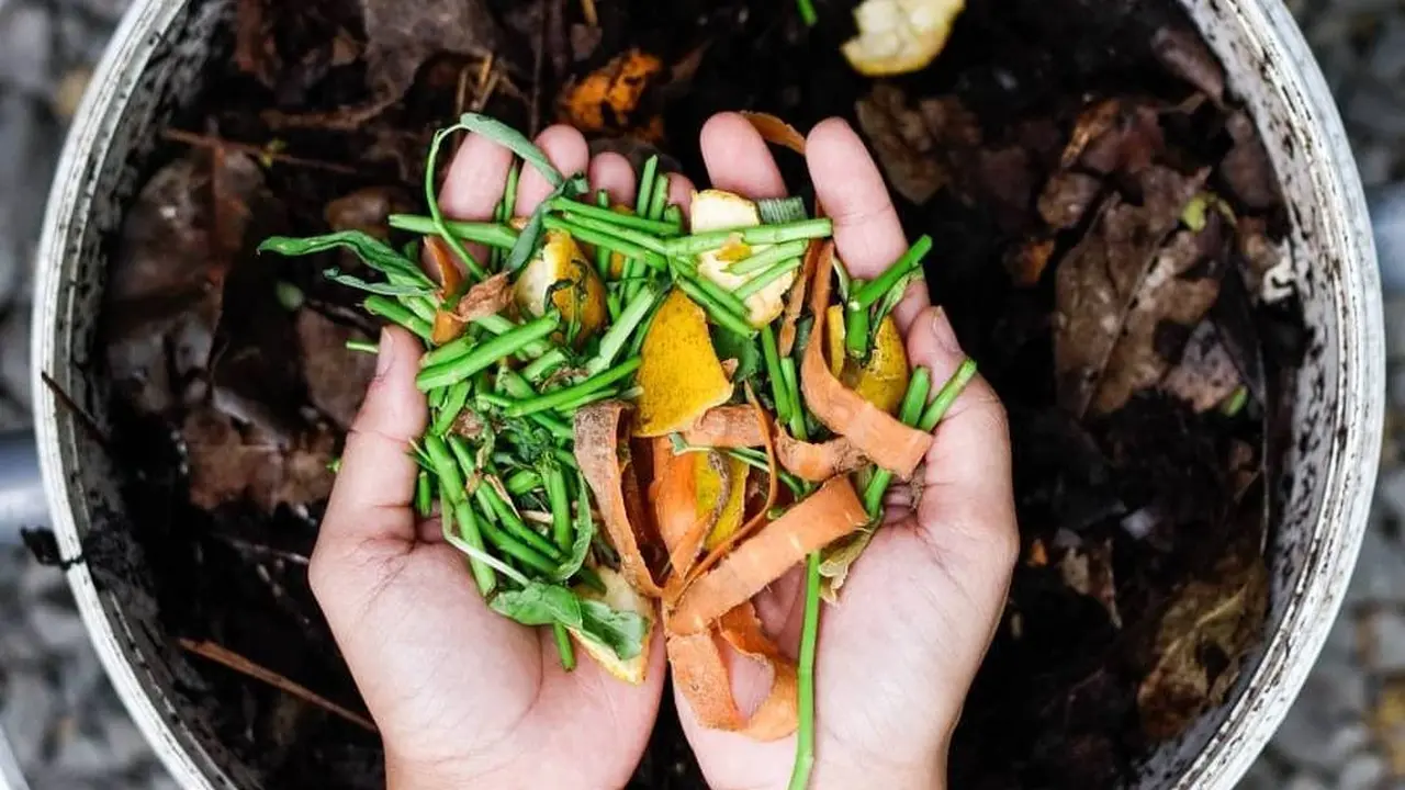 Kompos: solusi olah sampah organik