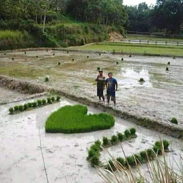 7 Potret Absurd Aksi Petani saat Garap Sawah Ini Bikin Tepuk Jidat