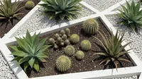 10 Inspirasi Desain Taman Tropis dengan Tanaman Pengusir Ular Seperti Serai Wangi, Aman, Estetik, dan Bebas Reptil