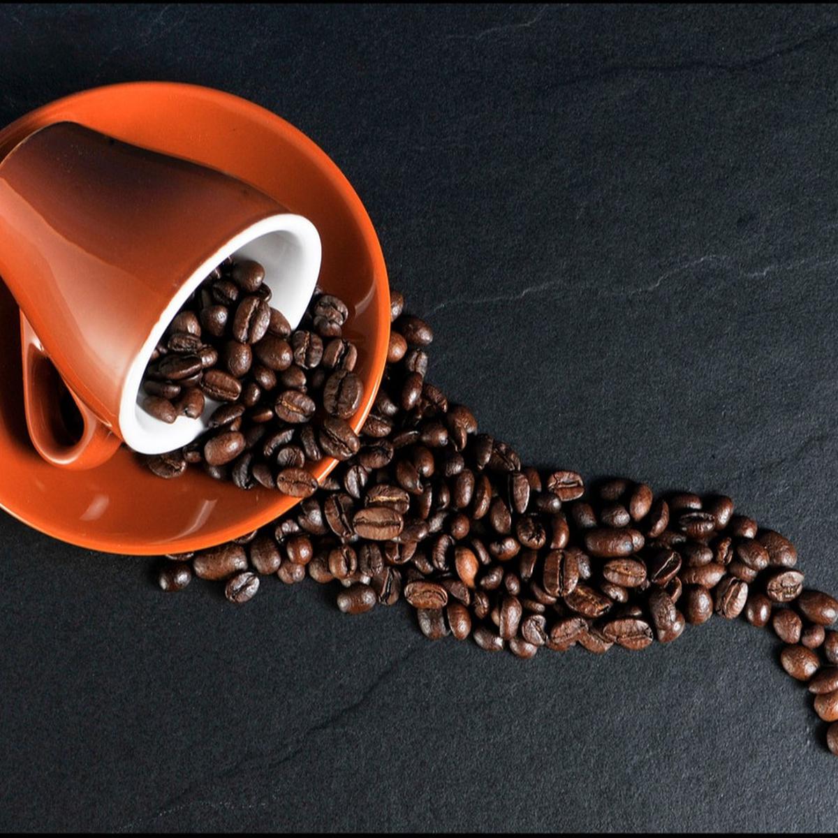 Ilustrasi Biji Kopi