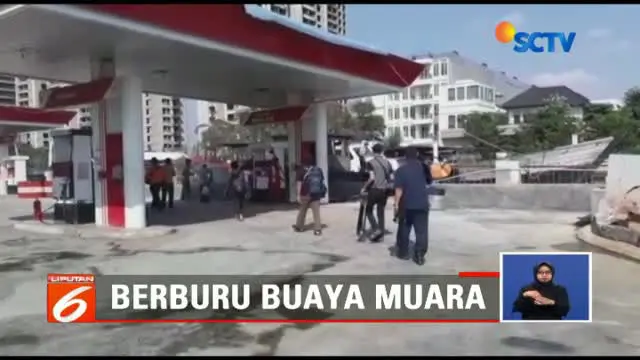 Penelusuran dilakukan dari titik buaya yang diperkirakan sepanjang dua setengah meter itu pertama kali muncul hingga mencapai Pantai Ancol.