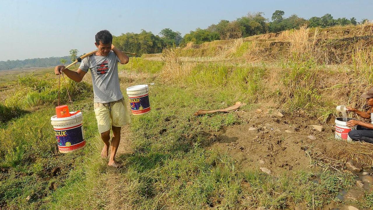 Musim kemarau telah membuat sumber air di wilayah itu menjadi terbatas. 

Akibatnya lahan pertanian warga di Kampung Rawa Bogo Kaler, Weninggalih, Bogor juga terkena dampaknya.