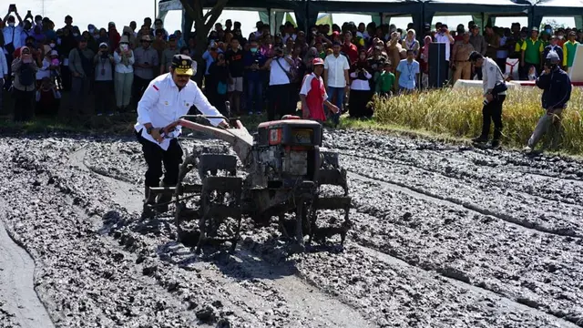 Kementan
