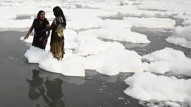 Busa Beracun Menutupi Sungai Yamuna di India
