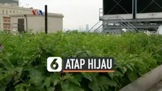 Budidaya sayur mayur dan buah-buahan bukan hanya dilakukan di kawasan pedesaan, tapi juga bisa di kota-kota besar. Selain kebun vertikal yang dibuat di dalam ruangan, banyak yang kini mengembangkan perkebunan di atap gedung tinggi, sehingga juga memb...