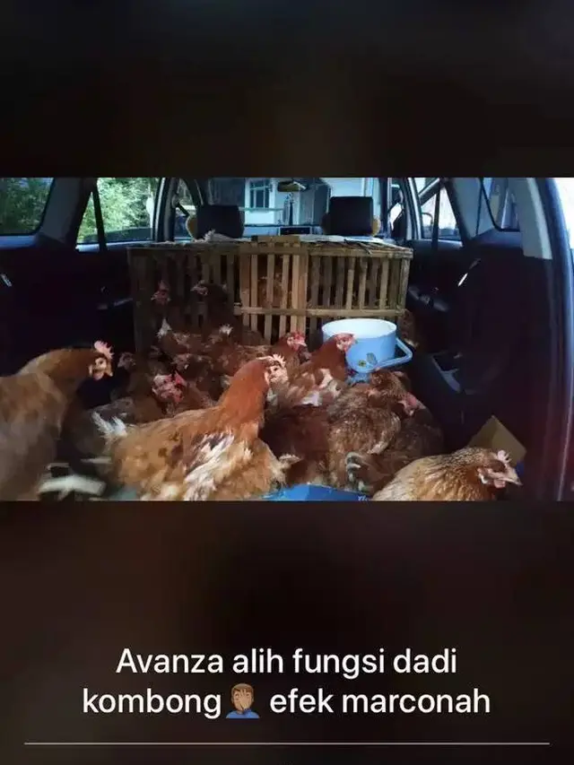 10 Potret Nyeleneh Isi Bagasi Mobil Ini Bikin Geleng Kepala