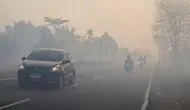 Kalimatan Tercekik Asap Kebakaran Hutan