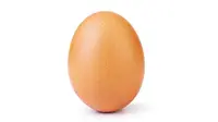 (world_record_egg/instagram.com)