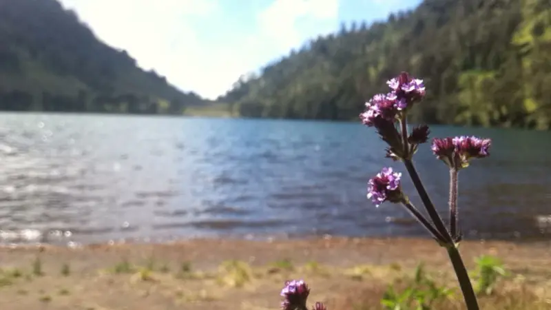 Menyusuri Eksotis Gunung Semeru