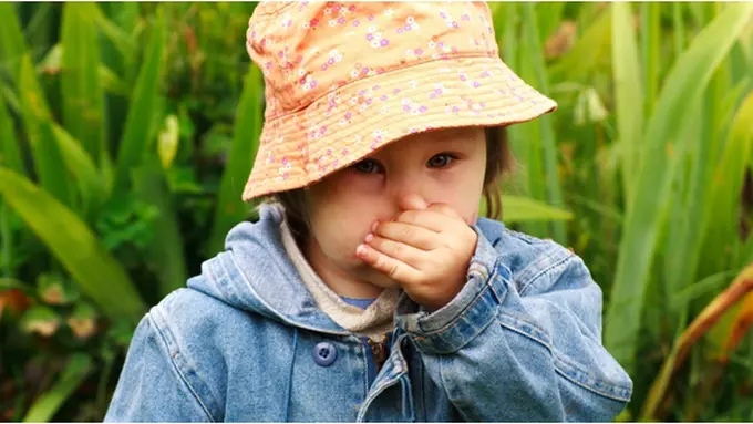 Courtesy ShutterStock.com