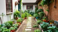 7 Jenis Sayur dan Bumbu Dapur yang Mudah Ditanam di Halaman Rumah