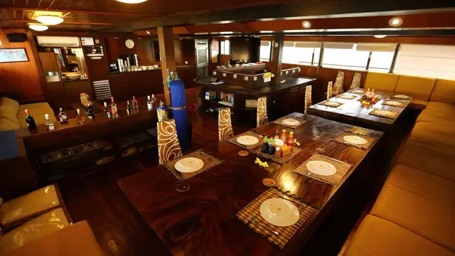 sea safari cruise