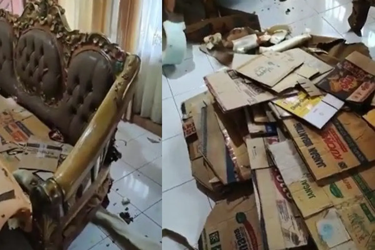 Viral Beli Kursi Rp 11 Juta, saat Dibongkar Isinya Malah Kardus Bekas