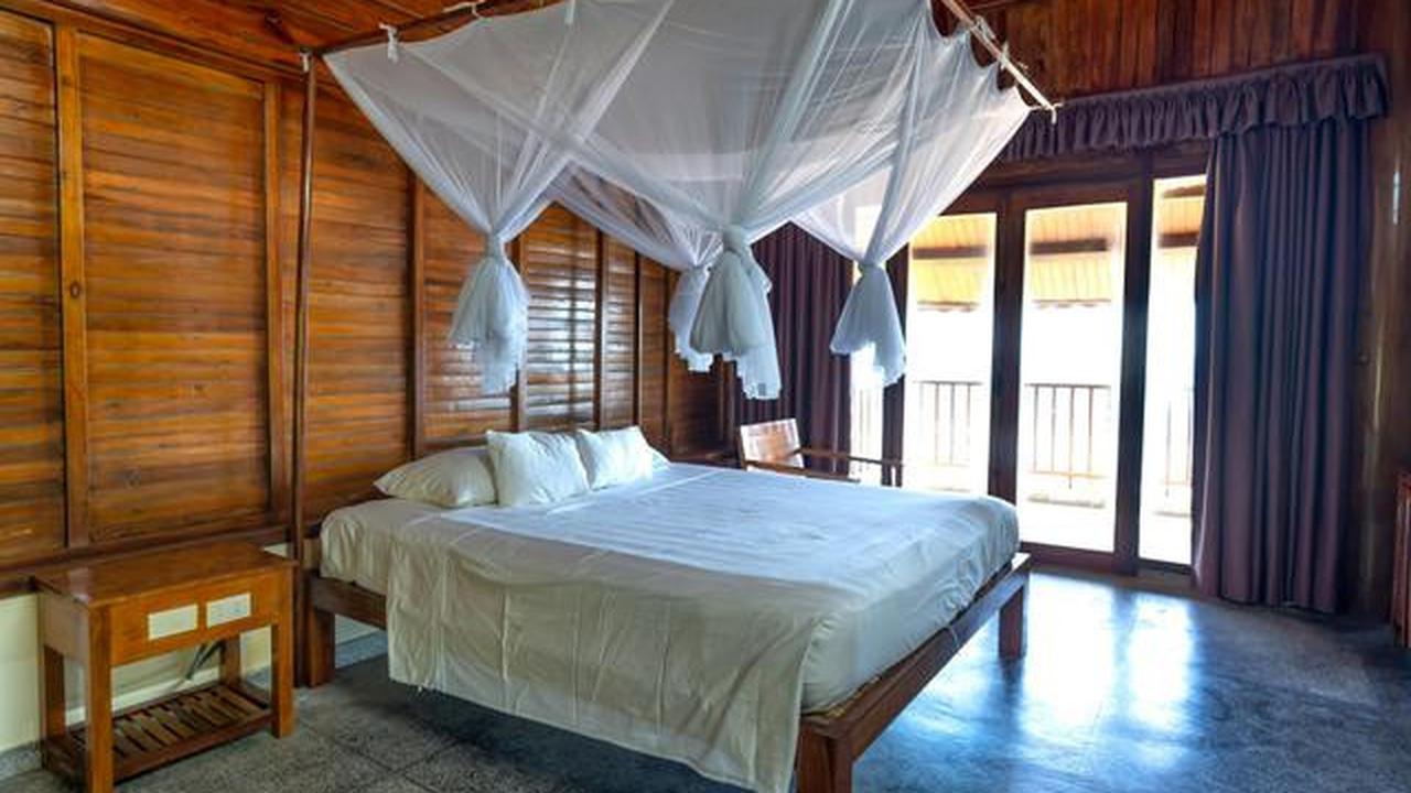 9 Cara Mengusir Nyamuk dari Kamar Tanpa Semprotan Kimia, Efektif Dilakukan