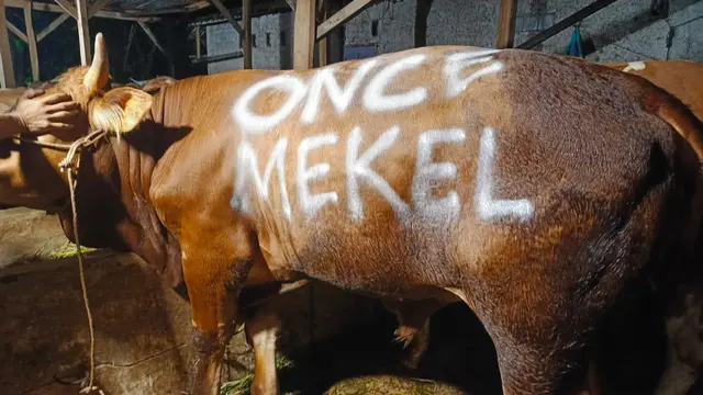 Hewaan kurban Once Mekel. (ist)