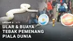 Sudah lumrah menebak pemenang Piala Dunia dengan bantuan hewan. Di event car free day, ular dan buaya dilepas untuk memilih bendera Argentina atau Spanyol, kira-kira siapa yang dipilih?
