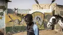 Seorang joki muda membawa seekor kuda di Ouagadougou (1/2/2022). Bagi banyak orang budaya kuda Burkinabe memainkan peran penting dalam kehidupan mereka, mulai dari beternak kuda untuk balap atau berpakaian, atau hingga acara pacuan kuda hari Minggu di trek lokal. (AFP/John Wessels)